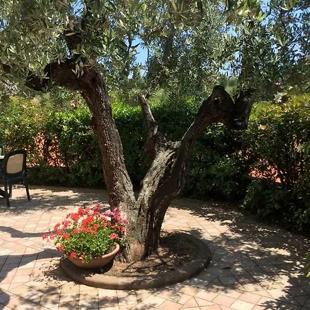 Holiday home Casa La Mignola San Miniato